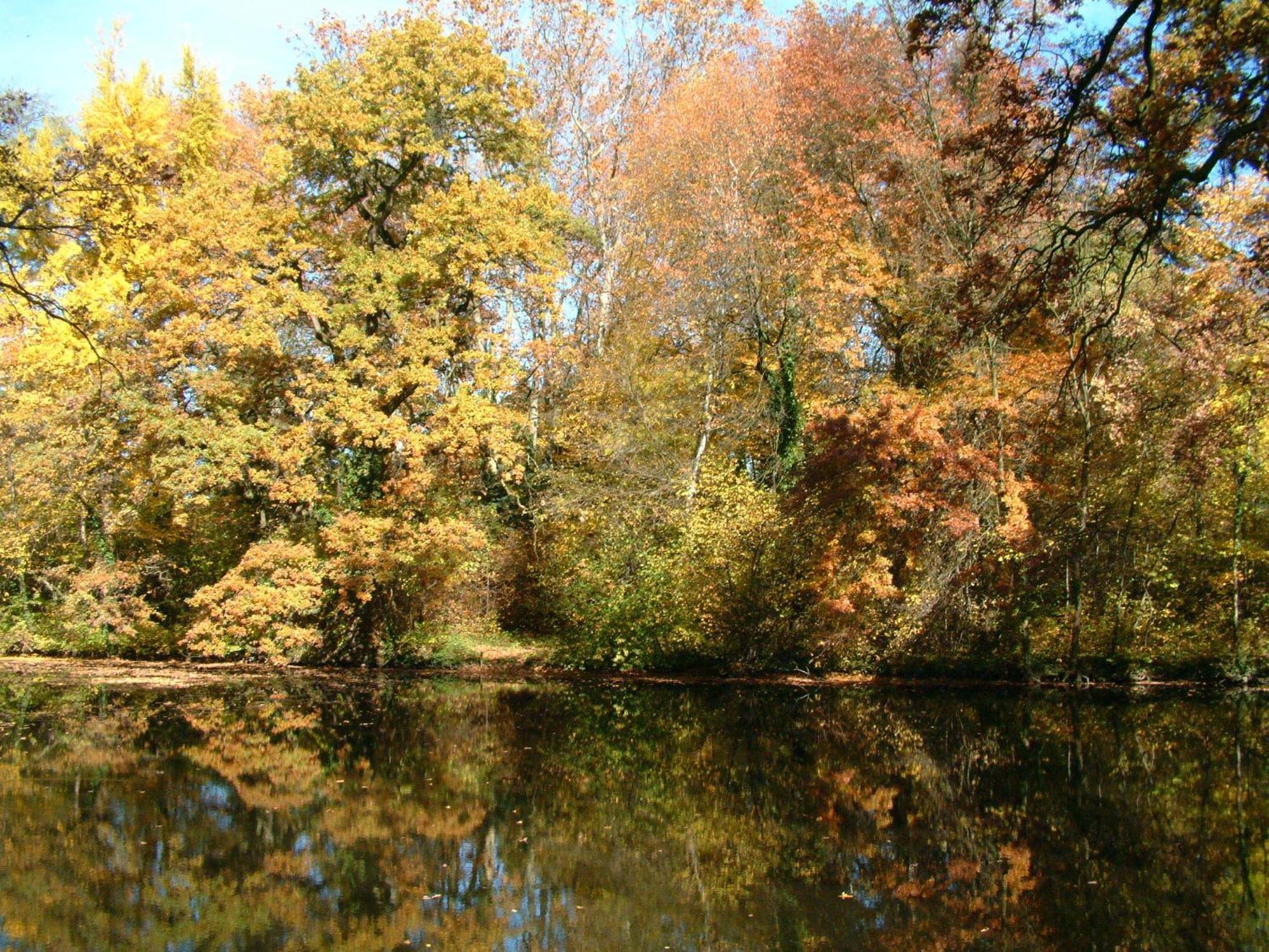 Ensana Thermal Sárvár Extérieur photo